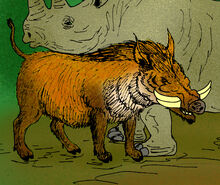 Metridiochoerus andrewsi.jpg