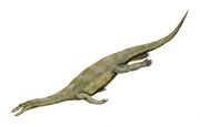 Nothosaurus.jpg