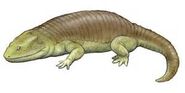 Peltobatrachus as Afrovenator