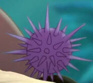 TLMRTTS Purple Sea Urchin