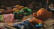 Baby Bop, BJ and Riff sleepover in the caboose