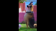Vlcsnap-2025-01-15-09h17m35s426.png (505 KB)