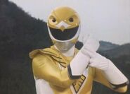 Yellow Owl Ranger