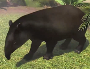 Bairds-tapir-zootycoon3