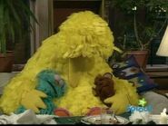 Big Bird, Rosita and Baby Bear are sleeping exhausted from cooking at the end of episode 3836