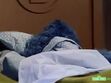 Cookie sleeps in Bert's bed and gets into a dream