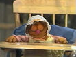 Ernestine falls asleep as Gina and Big Bird go through Ernie and Bert's photo album