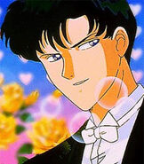 Darien/Tuxedo Mask (Episodes 1-65)