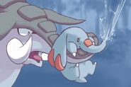 Donphan and Phanpy as Hippos