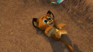 Madagascar2-disneyscreencaps.com-217