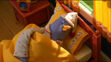 Penny the Penguin sleeping in bed