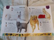 Pet Dictionary (7)