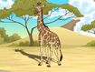 Rileys Adventures Masai Giraffe