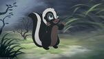 Flower as Skunk