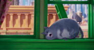 Secret-life-pets-disneyscreencaps.com-2867