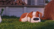 Secretlifeofpets2-animationscreencaps.com-7285