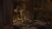 Shrek2-disneyscreencaps.com-619