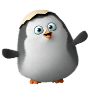 Young private penguins of madagascar movie