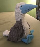 Bart the Blue-Footed Booby