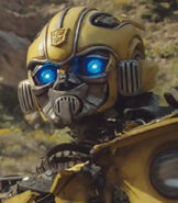 Bumblebee in Bumblebee