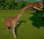 JWE Camarasaurus