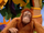 Jackie the Orangutan