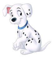 Penny (Dalmatian) as Click the Carmera