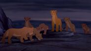 Various Lions from The Lion King series