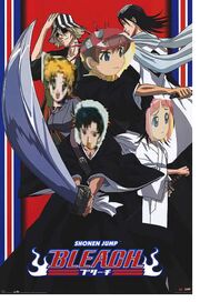 Bleach dinosaurkingrockz.jpg
