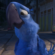 Blu as Dab the Dodo