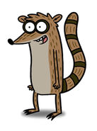 Rigby from Regular Show