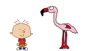 Stanley Griff meets Greater Flamingo