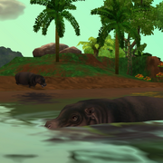 Pygmy Hippopotamus Game zooempire2