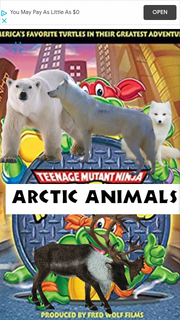 TMAA1987 Poster.png
