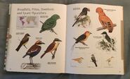 Visual Dictionary of Animals (93)
