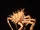 King Crab (animal)