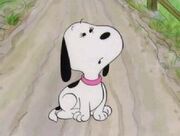 Missy in Snoopy's Reunion.jpg