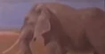 CMONH African Bush Elephant.png (46 KB)