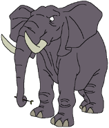 Colonel Johnson theafricanjunglebook.png (16 KB)