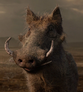 Pumbaa (2019)