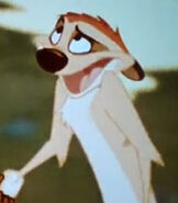 Timon in Circle Of Life An Environmental Fable
