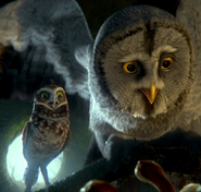 Twilight and Digger as The Vultures