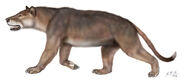 Amphicyon as Piatnitzkysaurus