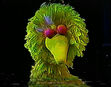 Big Bird falls asleep while waiting for the sun