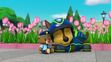 Paw patrol chase sleeping