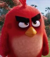 Red in The Angry Birds Movie (2016)