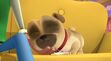 Rolly (Puppy Dog Pals) sleeping and really loved him in To The Library!