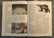 The Kingfisher Illustrated Encyclopedia of Animals (176)