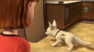 Bolt-disneyscreencaps.com-1500