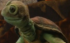 Chauncey the Turtle.png